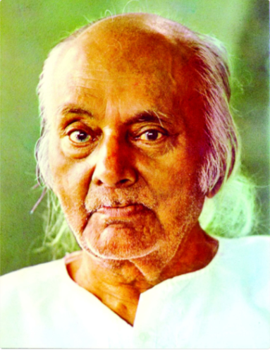 Kazi Nazrul Islam image